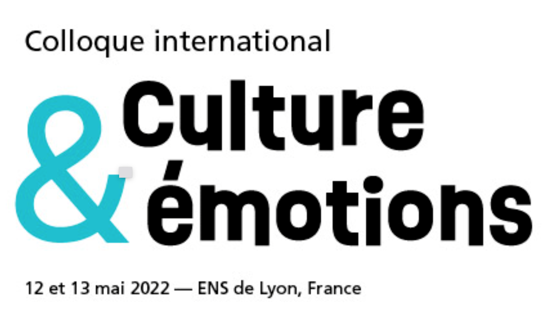 13 mai 2022, Alain Quemin intervient au colloque "Culture et Emotions" organisé à l'ENS de Lyon