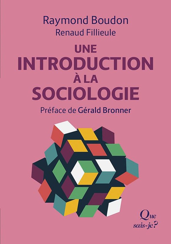 Une introduction &agrave; la sociologie